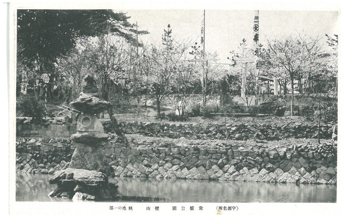常盤公園　桜山　眺池の一部